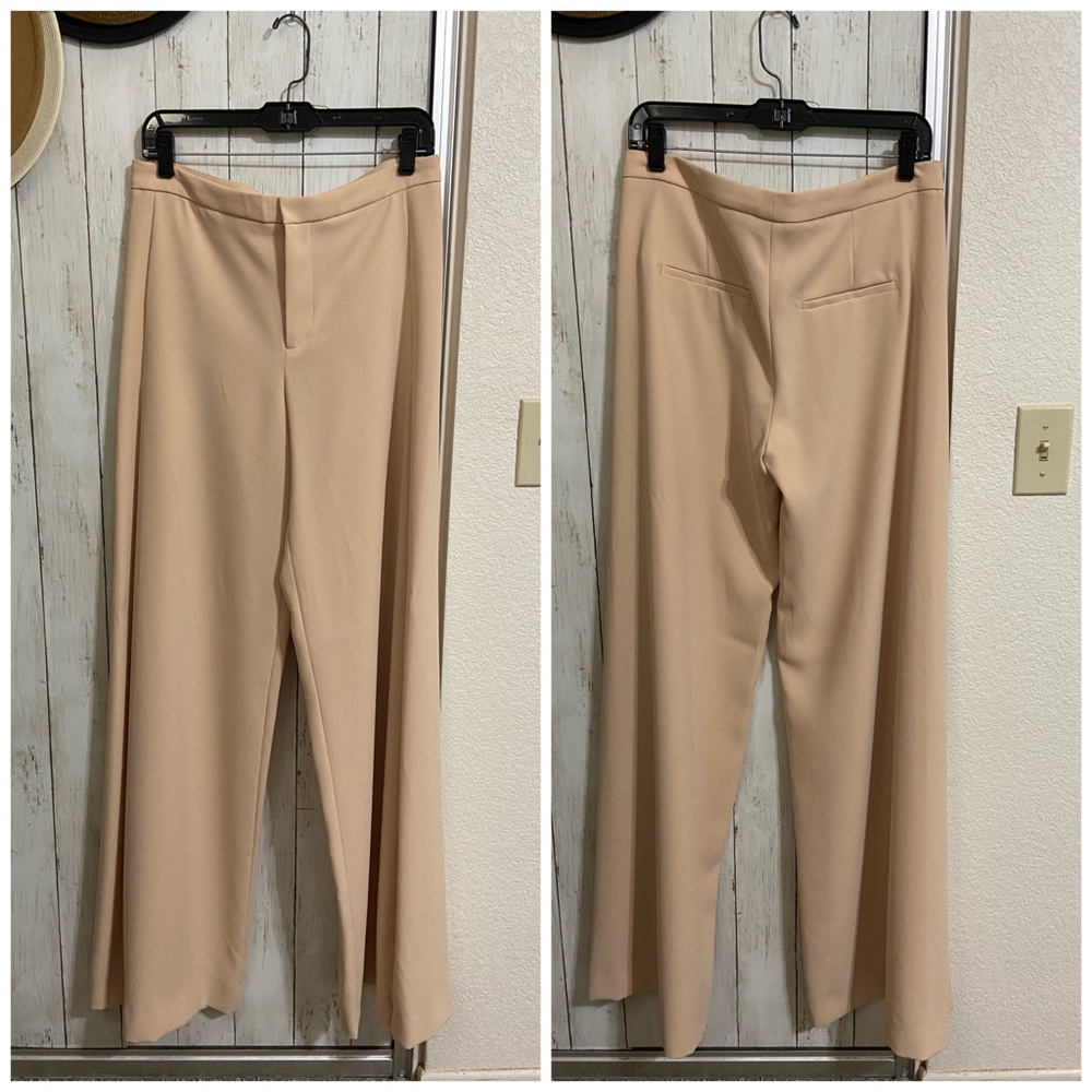 NWT Zara Wide Leg Pants